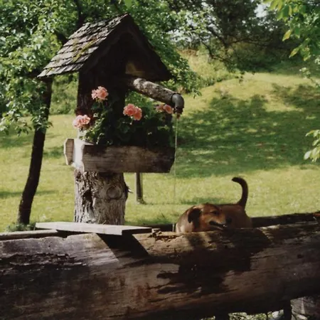 Prázdninový dům Kleines Koglerhuette
