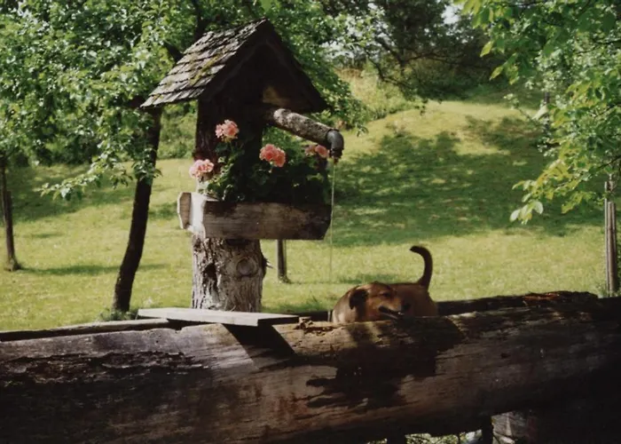 Tatil Evi Kleines Koglerhuette